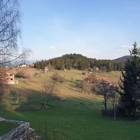 Kuca Za Odmor - Martic, Rudno, Golija בית נופש *