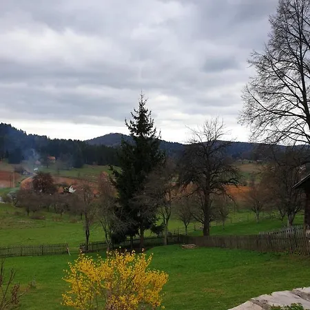 Kuca Za Odmor - Martic, Rudno, Golija Tatil Evi *